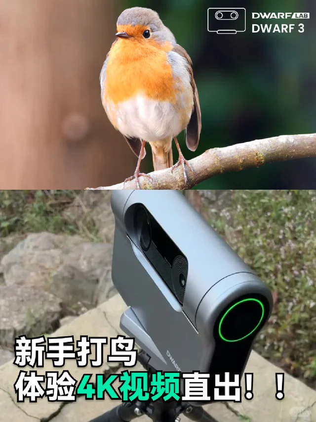 737mm 4K视频｜拍鸟原来这么爽